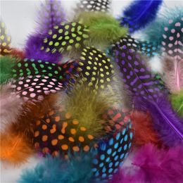 Other Hand Tools 100PcsLot Natural Dyed Guinea Fowl Feathers Pheasant Plumes for Crafts Chicken Coloured Small Feather Decorative DIY Home Decor 230821