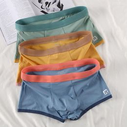 Underpants 3Pcs Men's Panties Top Quality U Convex Cotton Underwear Men Boxer Shorts Trendy Colour Matching Breathable