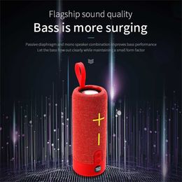 Portable Speakers Waterproof Wireless Heavy Bass Subwoofer Bluetooth 50 FM Radio TF Card AUX Input TWS Connexion Speaker Z0317 L230822