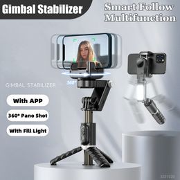 Stabilisers 2023 Bluetooth Wireless Gimbal Stabiliser Selfie Stick 360 Degree Smart Face Tracking Live Recording with Fill Light 230823