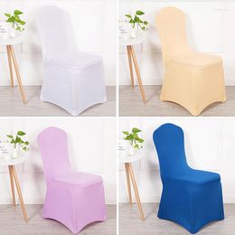 Chair Covers Wedding Site Business Activity Restaurant Banquet El Exhibition Reusable Spandex Elastic Skirt Universal Cover