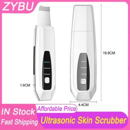 Hand Hold Ultrasonic Face Cleaner Microcurrent Ultrasonic Skin Scrubber Face Deep Cleaning Facial Ion EMS Skin Care Treatment Leading IN Nutrition Beauty Machine