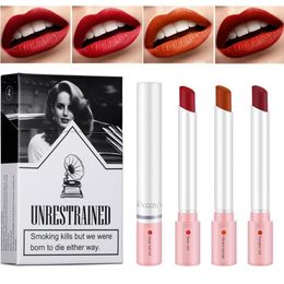 Lipstick Velvet Matte Lipstick Cigaret Case Design Lip Stick Makeup 4 Colours Long Lasting Lipstick Makeup Non-Stick Lipstick Makeup Kits 230823