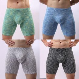 Underpants 2023 Men Briefs Underwear Men's Sexy Breathable Modal Comfortable Shorts Male Panties