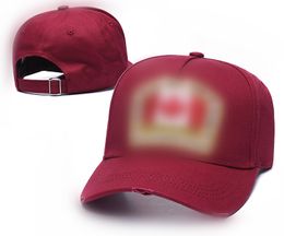 New Design Mens Designer Bucket Hat for Men Women Brand Letter Ball Caps 4 Seasons Adjustable Sports Brown Baseball Cap Binding Sun Hats L7