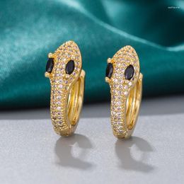 Hoop Earrings Unisex Female Male Animal Snake For Women Men Antique Gold Colour Black White Zircon Huggie Earring Party Jewellery