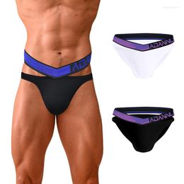 Underpants 2pcs/Lot Sexy Underwear Men Briefs Modal U Convex Gay Men's Panties Breathable Male Cuecas Slip Hombre Drop