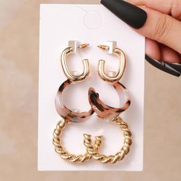 Hoop Earrings 3-piece Set Of Creative Simple Acrylic C-shaped Chain French Fashion Leopard Print Jewellery For Women