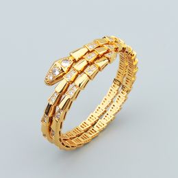 Bulgarie Jewelry Designer Jewelry Woman 18k Gold Plated Snake Bangle Bracelets for Women Men Charm Infinity Diamond Tennis Cuff Bracelets Luxury Girls 8061 2173