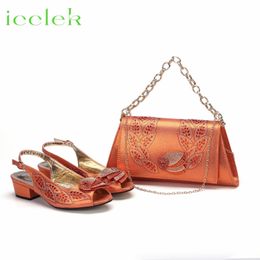 285 Sandals Orange Dress For Women Wedding Pumps Low Heels Design Party Shoes And Bags Set 230822 c