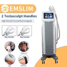 Slimming Machine Cellulite Removal Machines Electric Ems Ten Body Massager EmSlim Reduction Body Slim Spa Equipment Free Freight207