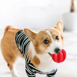 Dog Treat Toy Ball Funny Interactive Elasticity Pet Chew Toy Dogs Tooth Clean Balls Of Food Extra-tough Rubber 5cm