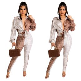 Elegant Two Piece Pants Sets Wear Women Casual Shirt and Leggings Set Easy Suits Free Ship