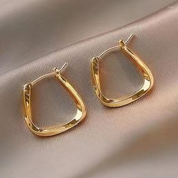 Hoop Earrings Exquisite Irregular Design Luxurious Women Pendant Fashion Elegant French Style Girls Party Gift Accessories 2023