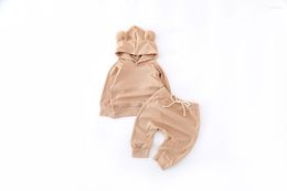 Clothing Sets 0-24M Unisex Hooded Clothes Infant Kids 3D Ear Tops Haren Pants 2Pcs Autumn Spring Boys Girls Set