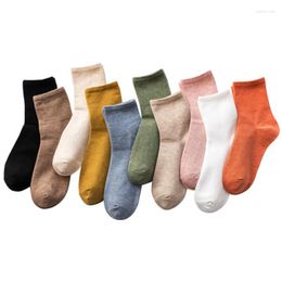 Women Socks 20 Pieces 10 Pairs Cotton Plain Pure Solid Colour Autumn Winter Mid Soft Piles Edge Curl Stocks For Girls