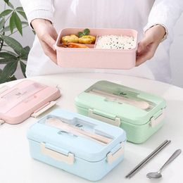 Dinnerware Microwave Lunch Box With Spoon Chopsticks Wheat Straw Storage Container Children Adult School Office Bento