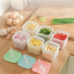 Storage Bottles Waterproof Fruit Vegetable Drain Crisper With Lid Refrigerator Side Dish Box Sealed Kitchen Containers Removable