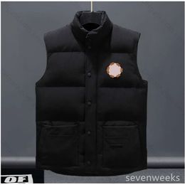 jackets designer vest Mens Womens jacket Authentic luxury Down Vest brand Expedition Couples Vests parka p6lU#