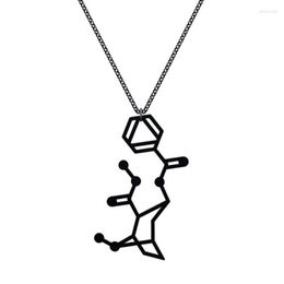 Pendant Necklaces Erythroxylin Molecule Necklace Free Ship