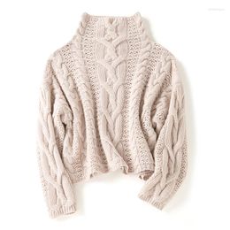 Women's Sweaters Warm Sweater Cashmere Winter Crop Top Turtleneck Vintage Clothes Women A-straight Womens Knitwear Pullover
