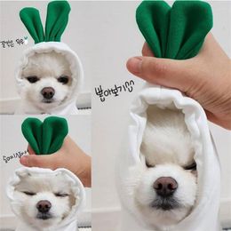 Dog Apparel Cute Pet Clothes Autumn And Winter Warm Keeping Small Medium-sized Dogs Teddy Cat Plush Hooded Sweater Supplies
