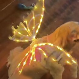Dog Collars Leashes Light Up Fairy Wings for Dogs Electric Glowing Musical Butterfly with Led String Lights Pet Party Favour Dress 230823