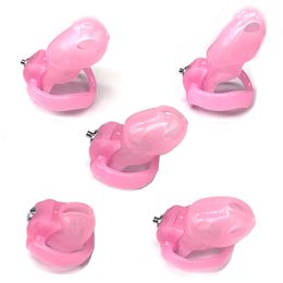 Cockrings HTV5 Click Lock Male Chastity Device Cock Cage Penis Ring Sleeve BDSM Fetish Sex Toys For Men Gay 230824
