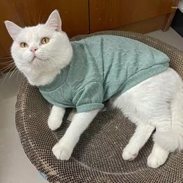 Cat Costumes Cute Knit Sweater For Cats Katten Gotas Pullovers Winter Pet Clothes Mascotas Puppy Dog Clothing Ubranko Dla Kota