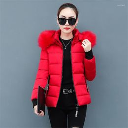 Women's Trench Coats Winter Fur Collar Hooded Crop Jacket Oversize 4XL Women Cotton Padded Coat Thick Warm Outwear Basic Solid Parka Casual