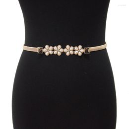 Belts Women's Elastic Waist Chain Belt Plum Rhinestones Decorative Metal