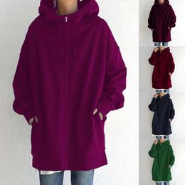 Women's Hoodies Ladies' Solid Colour Personality Street Sweater Zipper Hooded Jacket