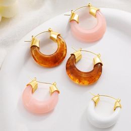 Hoop Earrings Personality Transparent Resin Stainless Steel Pink Natural Stone Huggie For Women Gold Color Fashion Hopps Ear Jewelry