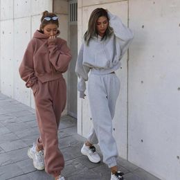 Women's Two Piece Pants 2023 Autumn Suit Grey Hat Drawstring Long Sleeve Hoodies Elastic Waist Loose Suits Female Trendy Lady Bottom