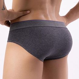 Underpants Fashion Men Sexy Cotton Boyshort Middle Waist BuLift Briefs Thong Lingerie Underwear Body Sculpting Panties