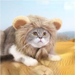Cat Costumes Cosplay Suit Lion Mane Wig Hat Dog And Puppy Pet Decorative Accessories Fancy Hair