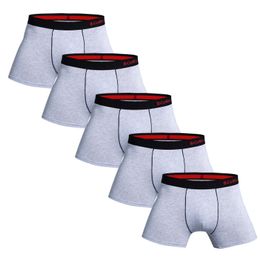 Underpants 5pcs Pack 2023 Men Panties Cotton Underwear Male Brand Boxer And For Homme Luxury Set Sexy Shorts Box Slip Kit 230824