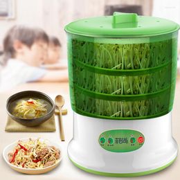 Automatic Bean Sprout Growing Machine 3 Layers Large Capacity Thermostat Green Plant Seeds
