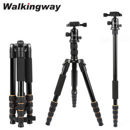 Tripods Q666 Tripod Camera Stand Stativ trpode Aluminum Flexible Travel Monopod Professional with Ball Head Compact for DSLRs 230825