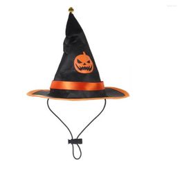 Cat Costumes Funny Matching Suits For Pets Transform Pet Into A Cute Pumpkin With Adjustable Hat Cape Set Halloween Costume Parties