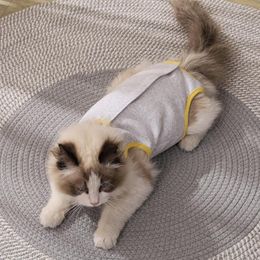 Cat Costumes Recovery Suit For Spay Abdominal Wounds Cotton Breathable Onesie Cats After Kitten Dog Clothes Anti Licking