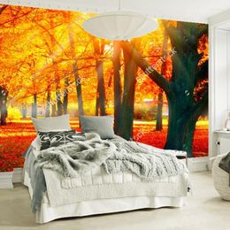 Wallpapers Custom Natural Scenery Wallpaper.Sunlight Through The Woods 3D Po Mural For Living Room Bedroom PVC Wallpaper