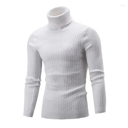 Men's Sweaters Turtleneck Sweater Autumn Winter Solid Colour Casual Slim Fit Simple Knitted Twist Pullovers