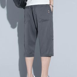 Men's Pants Casual Cropped Shorts For Fitting Straight Summer 2023 Trend Loose Thin Tube Work Clothes Sports Ice Silk