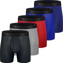 Underpants 5 Pack Mens Boxer Briefs Mesh Knit Fast Dry Sport Polyester No Rideup 6Underwear with Fly for Men y230824