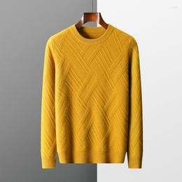 Men's Sweaters Wool Cashmere Sweater Casual Long Sleeve Knitted O-Neck Pure Pullover In Autumn