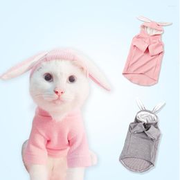 Dog Apparel Ear Sweater Bichon Teddy Fighting Cat Pet Clothes Autumn Spring Summer