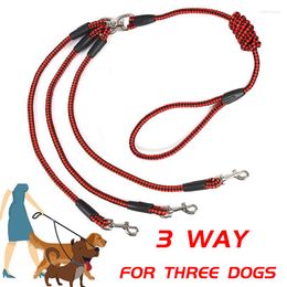 Dog Collars 3 Way Couplers Leash In 1 Long Braided Pet Belt 140cm Outdoor Walking Lead Rope For Three Small Dogs Pets Supplies