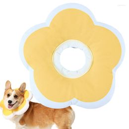 Dog Collars Elizabethan Portable Cute Cat Collar Adjustable & Neck Cones Multifunctional Waterproof Anti Licking