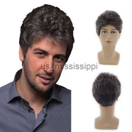 Synthetic Wigs Short Men's Wig Blackgray Mixed Wigs Synthetic Smooth Straight Hair Wig for Men Daily Wear Wigs x0826